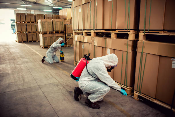 Best Insect Control  in Rancho Mission Viejo, CA