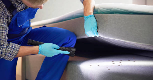 Trusted Rancho Mission Viejo, CA Pest Control Experts