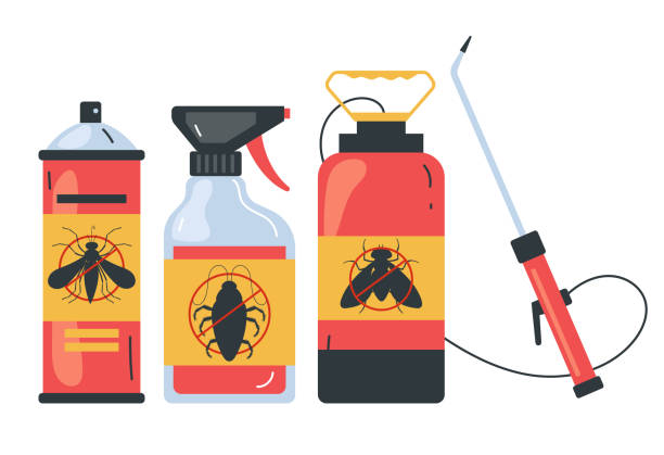 Best Ant Control Services  in Rancho Mission Viejo, CA