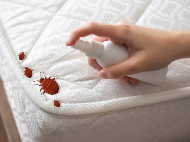 Best Pest Removal Services  in Rancho Mission Viejo, CA