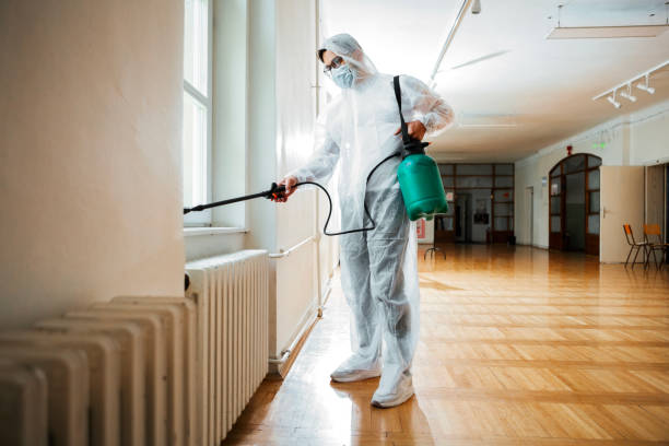 Best Flea Control Services  in Rancho Mission Viejo, CA