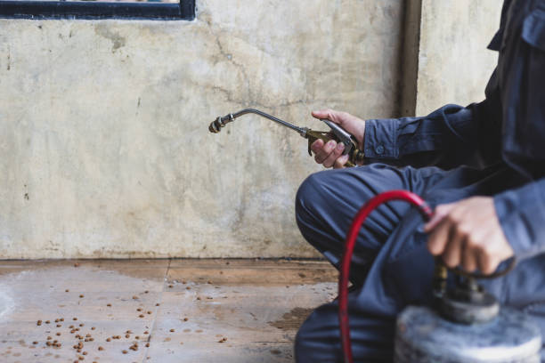 Best Best Pest Control Companies  in Rancho Mission Viejo, CA