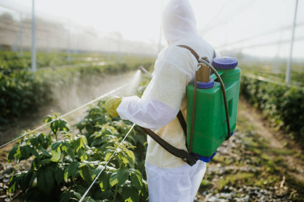  Rancho Mission Viejo, CA Pest Control Pros